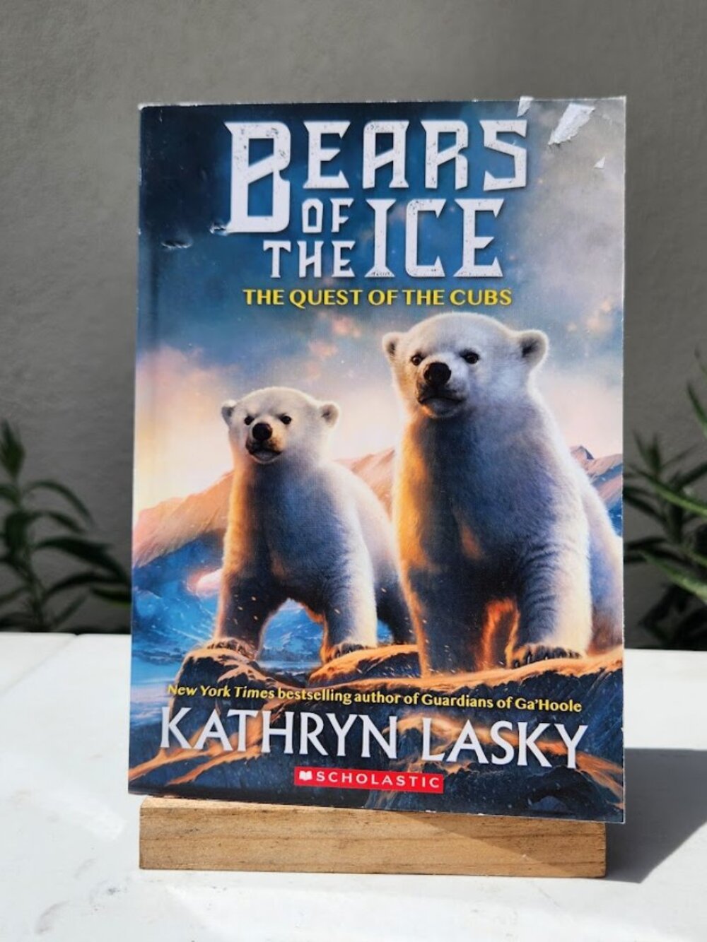 The Quest of the Cubs Bears of the Ice Book 1 Paperback Book Novel Literature by